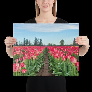 Pink Tulip Field Canvas