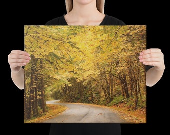 Autumn Drive Canvas