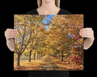 Autumn Driveway Canvas