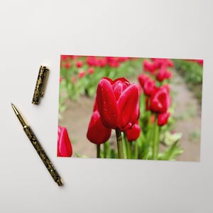 Carte de voeux tulipe rouge