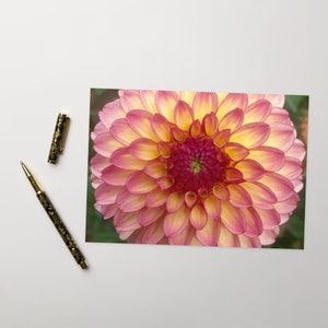 Carte de voeux Dahlia rose