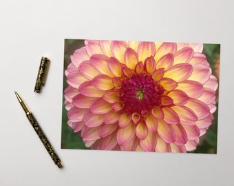 Pink Dahlia Greeting Card