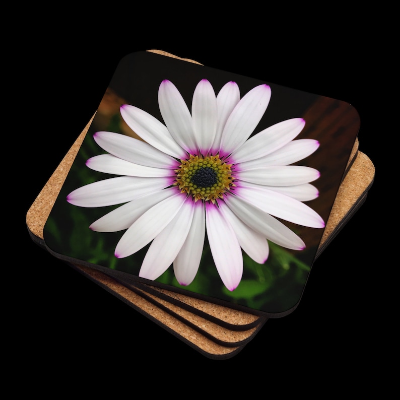 White and Pink Daisy Cork-back coaster image 1
