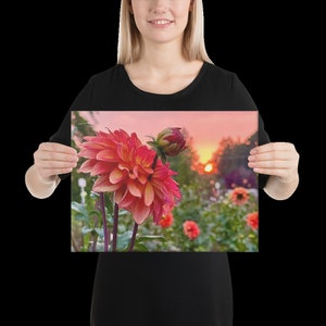 Sunset Dahlisas Canvas
