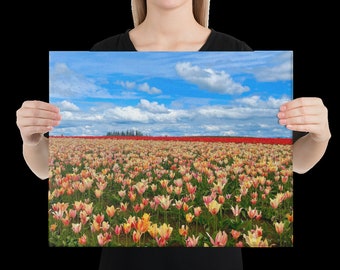 Field of Tulips Canvas