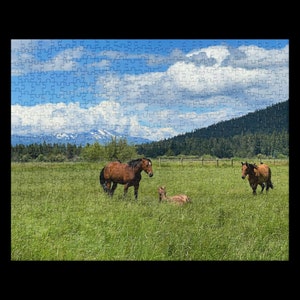 Paarden in de weide legpuzzel