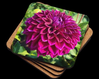 Magenta Dahlia Cork-back coaster