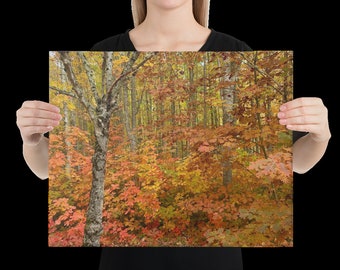 Fall Colors Canvas