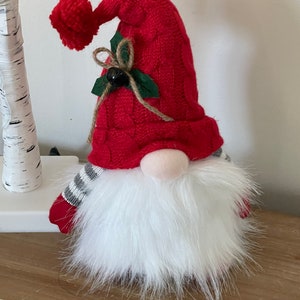Your Friendly Light up Holiday Gnome