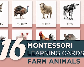 16 Real Picture Montessori Flashcards | FARM ANIMALS | Homeschool Games | Learning Materials | Editable Cards for Kids Horse Cow Dog Cat