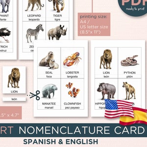 SAFARI ANIMALS Spanish Edition Bilingual Flash Cards Personalized Custom  Interactive Montessori Dual Language Games Editable Flashcards pdf