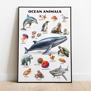 Meerestiere Montessori Poster | Lernmaterial für das Schlafzimmer des Mädchens und das Kinderzimmer des Jungen unter Wasser Meer