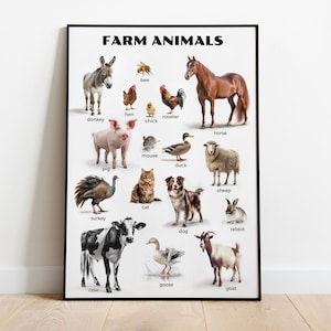 Montessori Farm Animals Poster - Real Donkey, Horse, Dog, Cat, and Cow Photos - Educational Printables