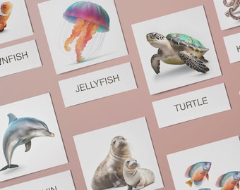 OCEAN ANIMALS, 16 Editable Montessori Cards, Real Pictures Flashcards  Interactive Ocean Animal Games - Editable Flashcards PDF Animal Photo