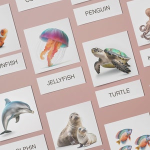 OCEAN ANIMALS, 16 Editable Montessori Cards, Real Pictures Flashcards  Interactive Ocean Animal Games - Editable Flashcards PDF Animal Photo