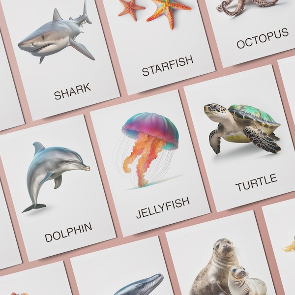 Montessori OCEAN ANIMALS, Sea Animal Cards, Education Cards, Printable School 16 Editable Montessori Cards Real Sea Pictures Flashcards PDF