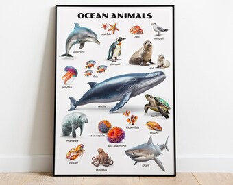 Cartel realista de Montessori de animales oceánicos / Decoración educativa de la vida marina para el dormitorio de la niña y los materiales de enseñanza de la guardería del niño bajo el agua del mar