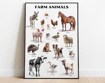 Farm Animal Montessori Learning Poster | Real Animals Educational Resource | Hands-On Teaching Aid Preschool & Homeschool Realistic Photo