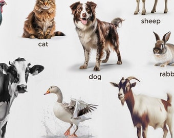Montessori Animales de Granja, Póster Aprendizaje Real / Material Educativo para Preescolar y Escuela en el Hogar / Decoración de Guardería Juguetes Interactivos Foto Pared