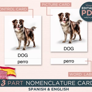 Editable Montessori Cards - Real Animal Pictures - PDF Download