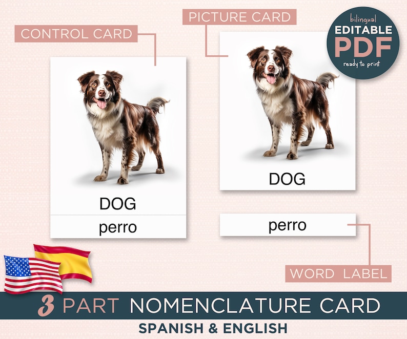 Editable Montessori Cards - Real Animal Pictures - PDF Download