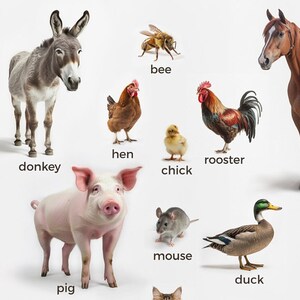 ANIMAIS DE FAZENDA (francês), 16 cartões Montessori editáveis, fotos reais Flashcards PDF cartões imprimíveis vida marinha aprendizagem foto decoração de parede brinquedo
