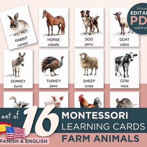 Editable Montessori Cards - Real Animal Pictures - PDF Download