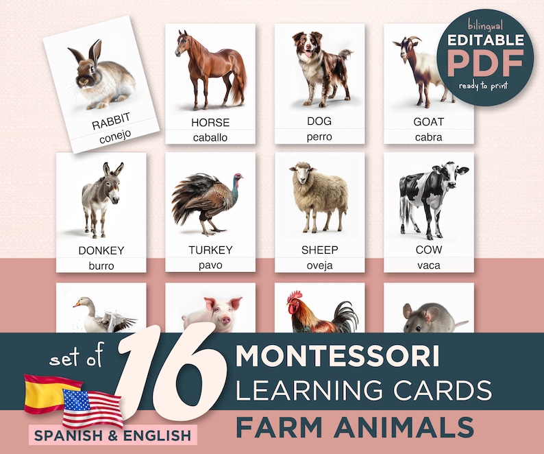 Editable Montessori Cards - Real Animal Pictures - PDF Download