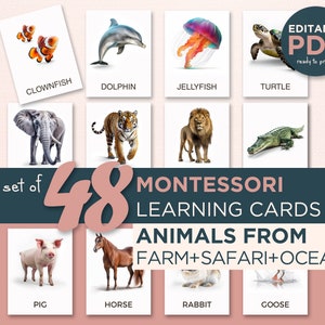 48 REAL ANIMAL CARDS Bundle, Real Pictures, Editable Montessori Flashcards, Pre-School Card, Editable Ocean Mammals Flash cards, Sea Animals