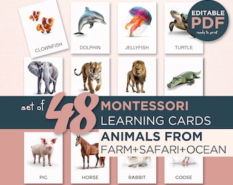 48 REAL ANIMAL CARDS Bundle, Real Pictures, Editable Montessori Flashcards, Pre-School Card, Editable Ocean Mammals Flash cards, Sea Animals