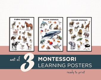 Cartel de animales Montessori, foto de animales reales, decoración del aula, aprendizaje Montessori, arte de la pared de la sala de juegos, descarga digital, educación en el hogar imprimible