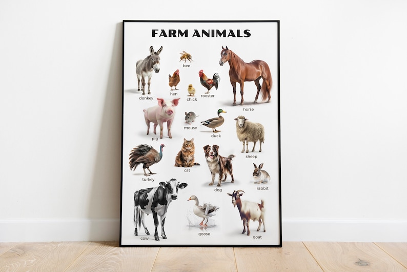 Montessori Farm Animals Poster - Real Donkey, Horse, Dog, Cat, and Cow Photos - Educational Printables