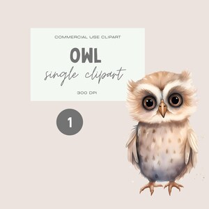 Clipart aquarela de coruja bebê, arquivo de imagem única, PNG transparente, pacote de uso comercial, gráfico de pássaro neutro fofo, clipart de animais da floresta