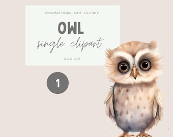 Baby Owl Watercolor Clipart, Neutral Bird PNG (Commercial Use)