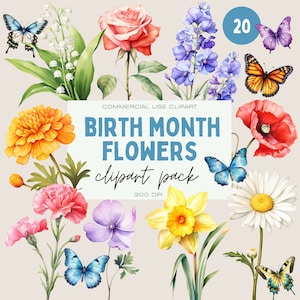 Geburtsmonat Blumen Clipart Pack, kommerzielle Nutzung, benutzerdefinierte Geburtsmonat Blume DIY Grafiken, transparente PNGs, antike Blumen PNG, Aquarell