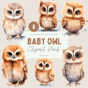 Baby Owl Clipart Watercolor, Clipart for commercial use, Transparent PNGs, Nursery Clipart, Woodland Animals, Forest animals, Birds