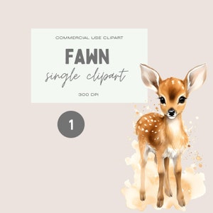 Baby Hirsch Aquarell Clipart, einzelne Bilddatei, transparentes PNG, kommerzielle Nutzung Pack, niedliche neutrale Baby Rehkitz, Waldtiere Clip art