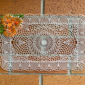 6pc Plastic Lace Floral Placemats | 1950s 1960s Picnic Outdoor Porch Veranda Balcony Picnic
