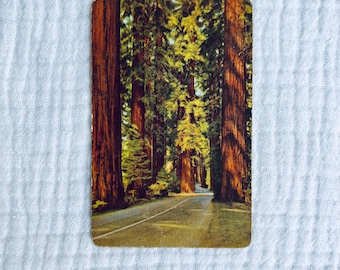 Carte da gioco vintage della foresta della California / Album di ritagli, diari, collezionisti di oggetti effimeri, giochi, giocattoli, alberi di sequoia