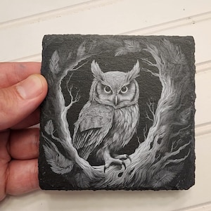 K&ouml;nnte beinhalten: Eine Schwarzwei&szlig;zeichnung eines auf einem Ast sitzenden Eulen, mit detaillierten Federn und einer realistischen Darstellung der Augen der Eule.