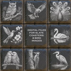 Könnte beinhalten: Acht digitale Dateien für Schieferuntersetzer mit Schwarzweiß-Vogelillustrationen. Die Bilder zeigen einen Kolibri, eine Eule, einen Pfau, einen Schwan, einen Specht und einen Reiher.