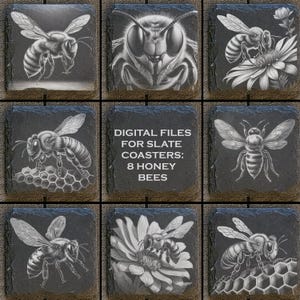 Könnte beinhalten: Acht digitale Dateien für Schieferuntersetzer mit Honigbienen. Jedes Untersetzerdesign zeigt eine Schwarzweißillustration einer Honigbiene.