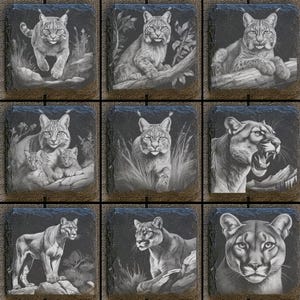 May include: Set of nine black slate coasters featuring various black and white illustrations of wild cats, including bobcats, lynx, and cougars. The coasters are square and have a rustic, natural look.