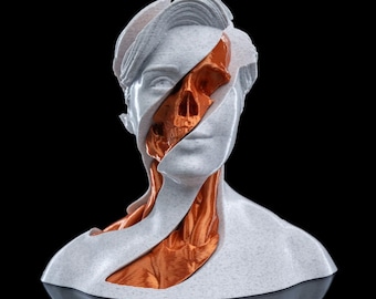 Colección Twist Fidget - Impresiones 3D