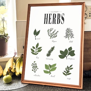 Botanical Herb Print, Magical Herbs Vintage Print, Botanical Print, Herb Print, Botanical Wall Art, Kitchen Herbs Wall Art, Fresh Herbs Sign