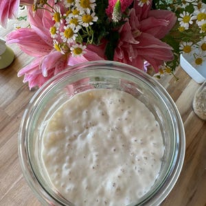 The Sourdough Mama- Dehydrated Sourdough Starter image 2