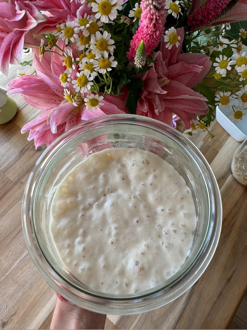 The Sourdough Mama- Dehydrated Sourdough Starter image 2