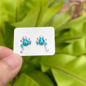 Puede incluir: Pendientes de botón plateados con forma de rana, con detalles turquesa y azul. Los pendientes se muestran en una tarjeta blanca, sobre un fondo de follaje verde brillante.