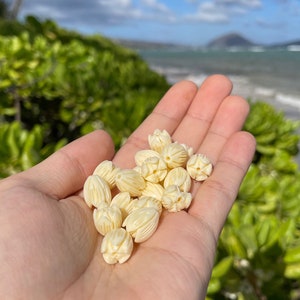 Pikake Beads, Loose beads 100pc, Hawaiian Jasmine Tulip Flower Cream Colored DIY Island Style Jewelry Supplies, Carved Composite Resin