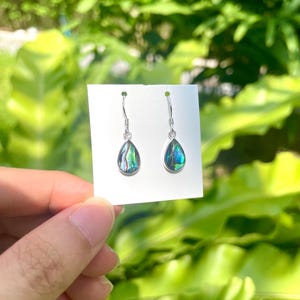 May include: A pair of teardrop-shaped earrings with iridescent abalone shells. The earrings are suspended from silver-colored hooks and displayed on a white card against a backdrop of green foliage. The abalone shells display shades of blue, green, and purple.